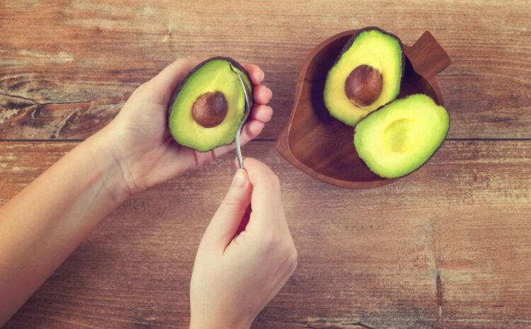 Avocado खाने के क्या फायदे है! जरुरी इसकी जानकारी देखें