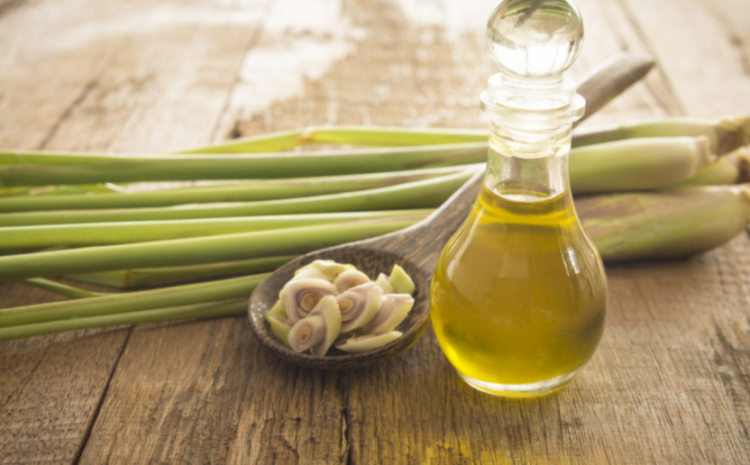  Lemongrass Nutrition – Health Benefits & Side Effect of Lemongrass