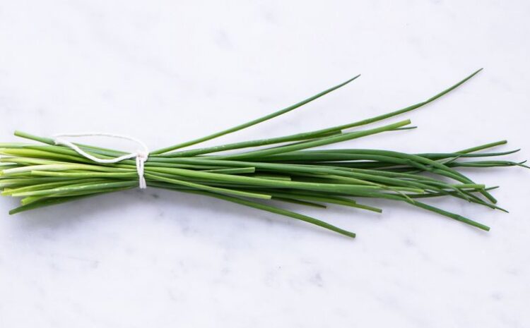  Chives Nutrition Facts – Benefits and How to Use it