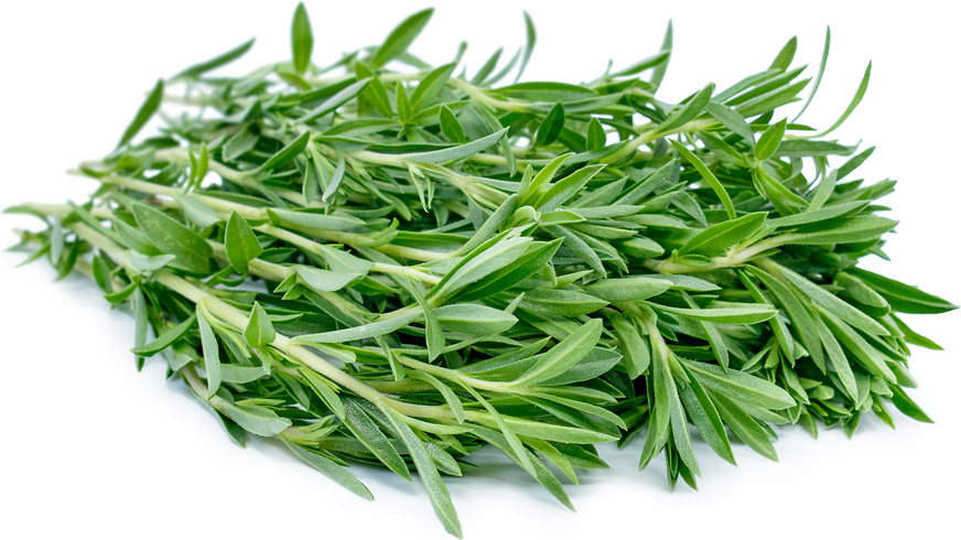 Summer Savory Herb Nutrition Facts -know about its benefits and uses ...