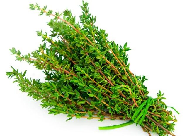  Thyme Herb Nutrition Facts -know more about its benefits and uses