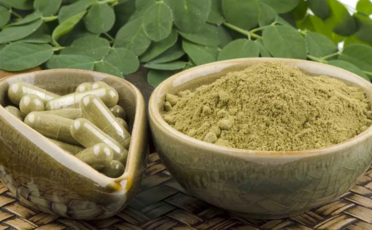 Moringa oleifera(सहिजन ) – Its Health benefits and uses